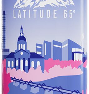Latitude 65 Vitamindryck - Skellefteå Hallon/Blåbär 50cl