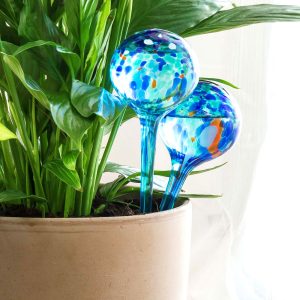 Bevattningsglober Glas Aqua-Loon