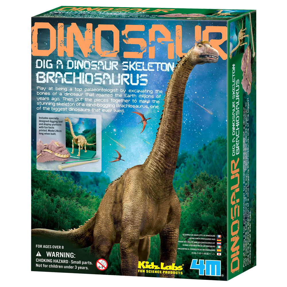Brachiosaurus Skelett Utgrävningskit