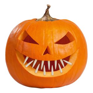 Tänder till Pumpa - 12-pack