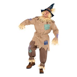 Fågelskrämma Maskeraddräkt - Medium/Large