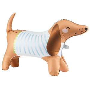 Gående Dachshund Folieballong & Hundkort