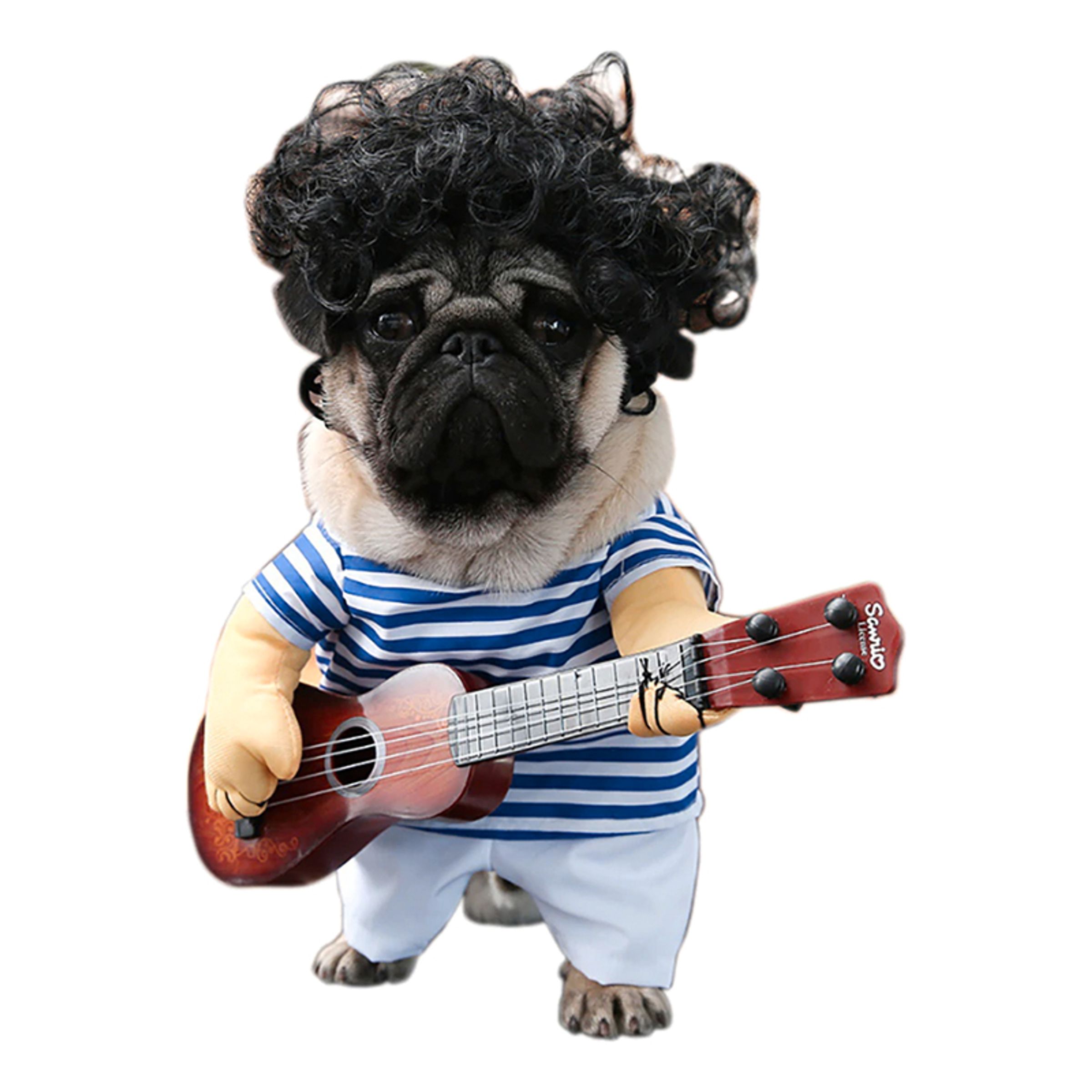 Gitarrist Maskeraddräkt för Hund - One size