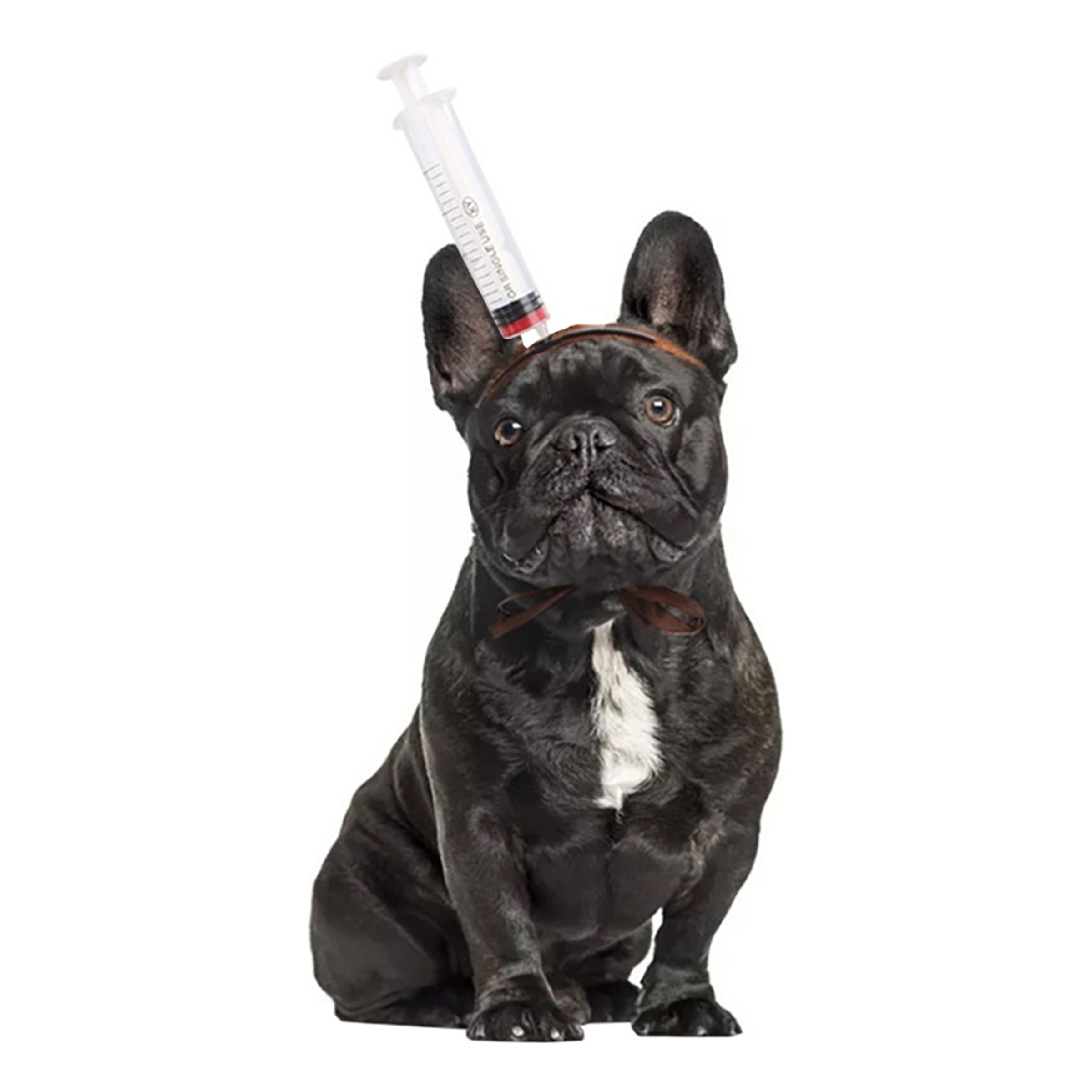 Halloween Props för Hund - Spruta