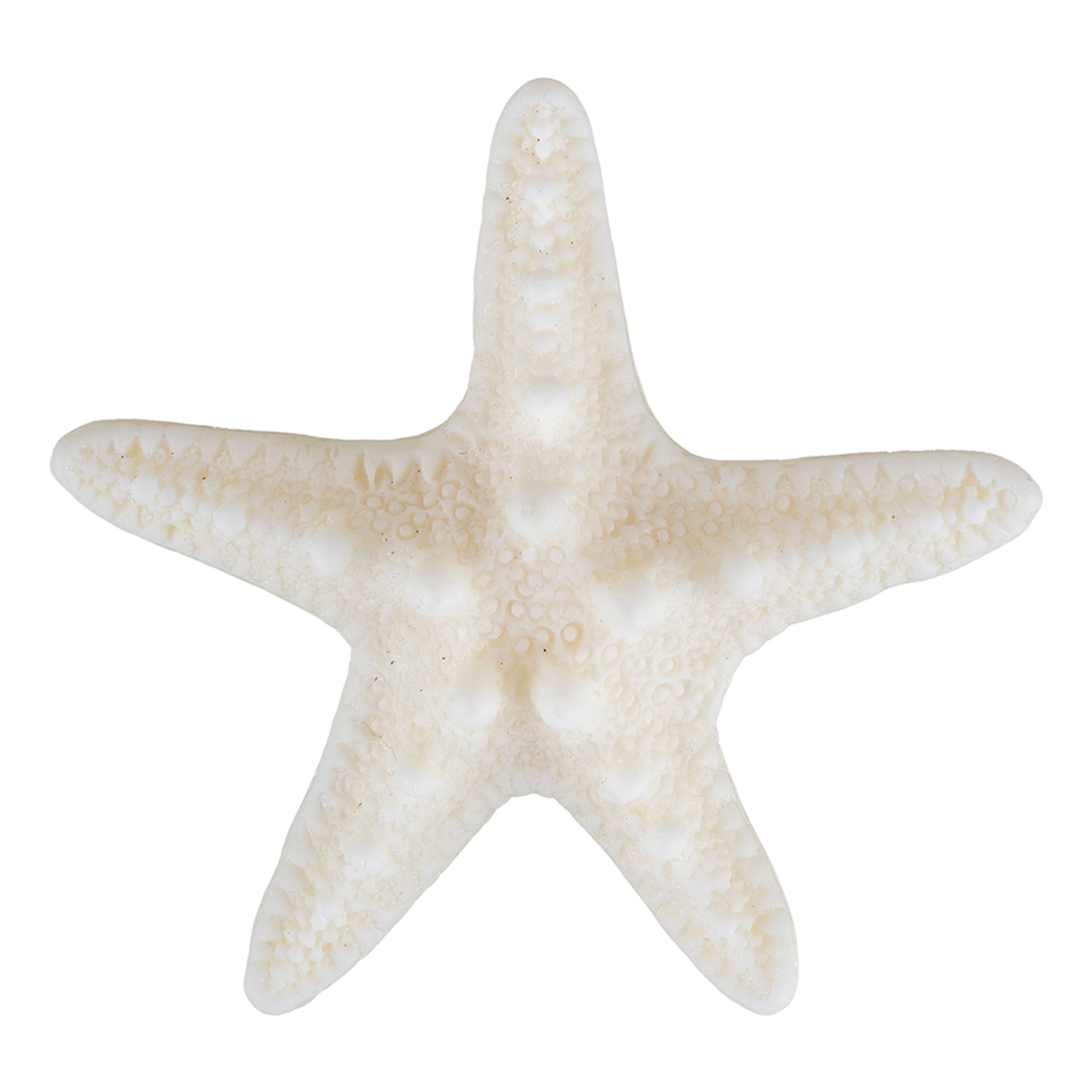 Hårklämma Sjöstjärna