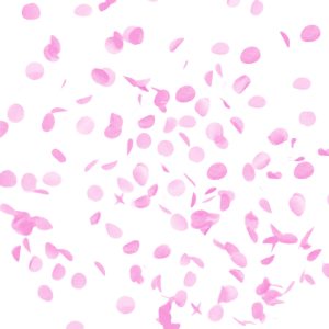 Jätteballong Gender Reveal - Flicka