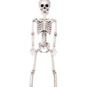 Justerbart Skelett Dekoration