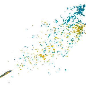 Konfettikanon Blå/Gul Papper