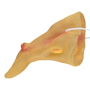 Krokig Häxnäsa i Plast