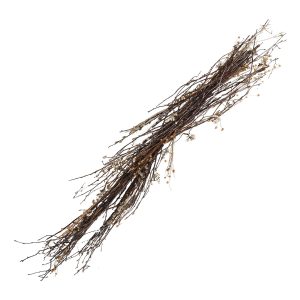 Kvistar med Bär Dekoration