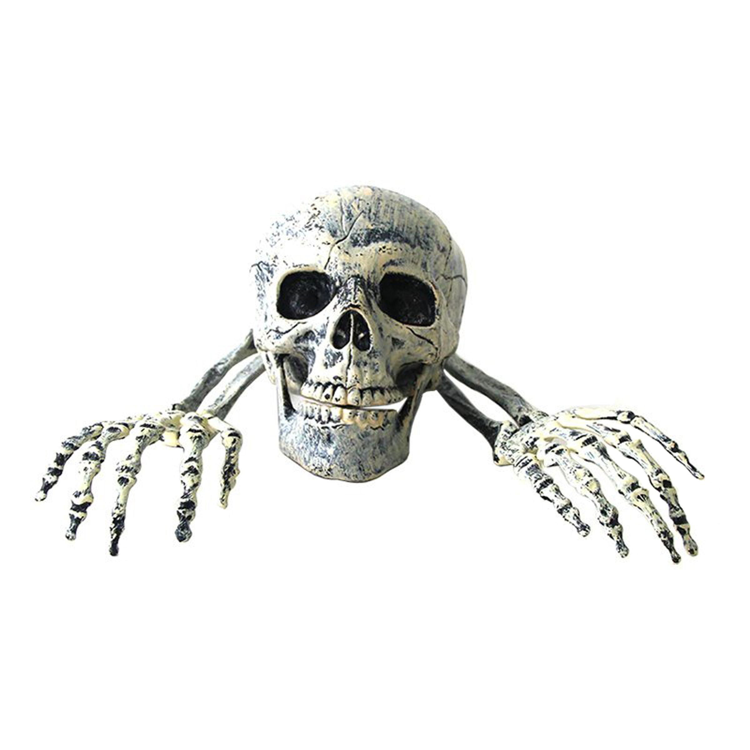 Levande Begravd Prop