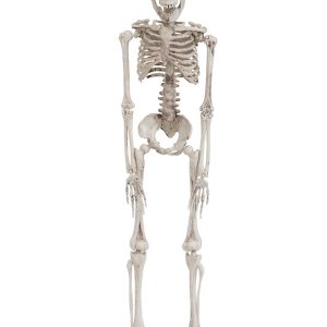 Miniskelett med Lysande Ögon