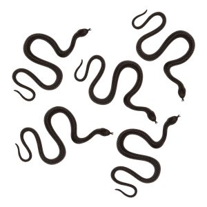 Ormar i Plast - 5-pack