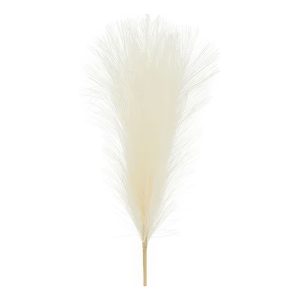 Pampasgräs Dekoration