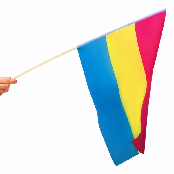 Panflagga på Pinne 40x60cm