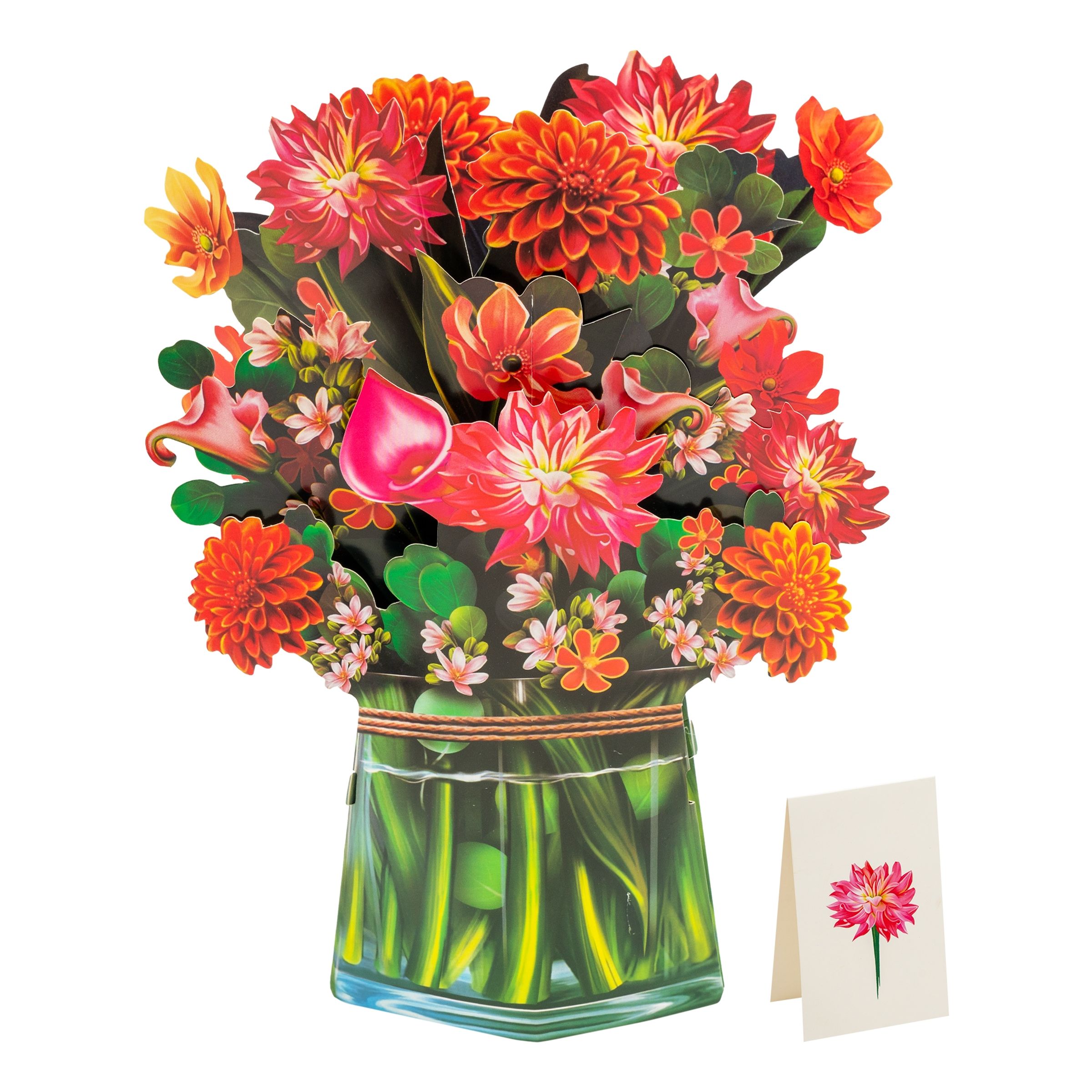 Pop Up-kort Blommor - Dahlia