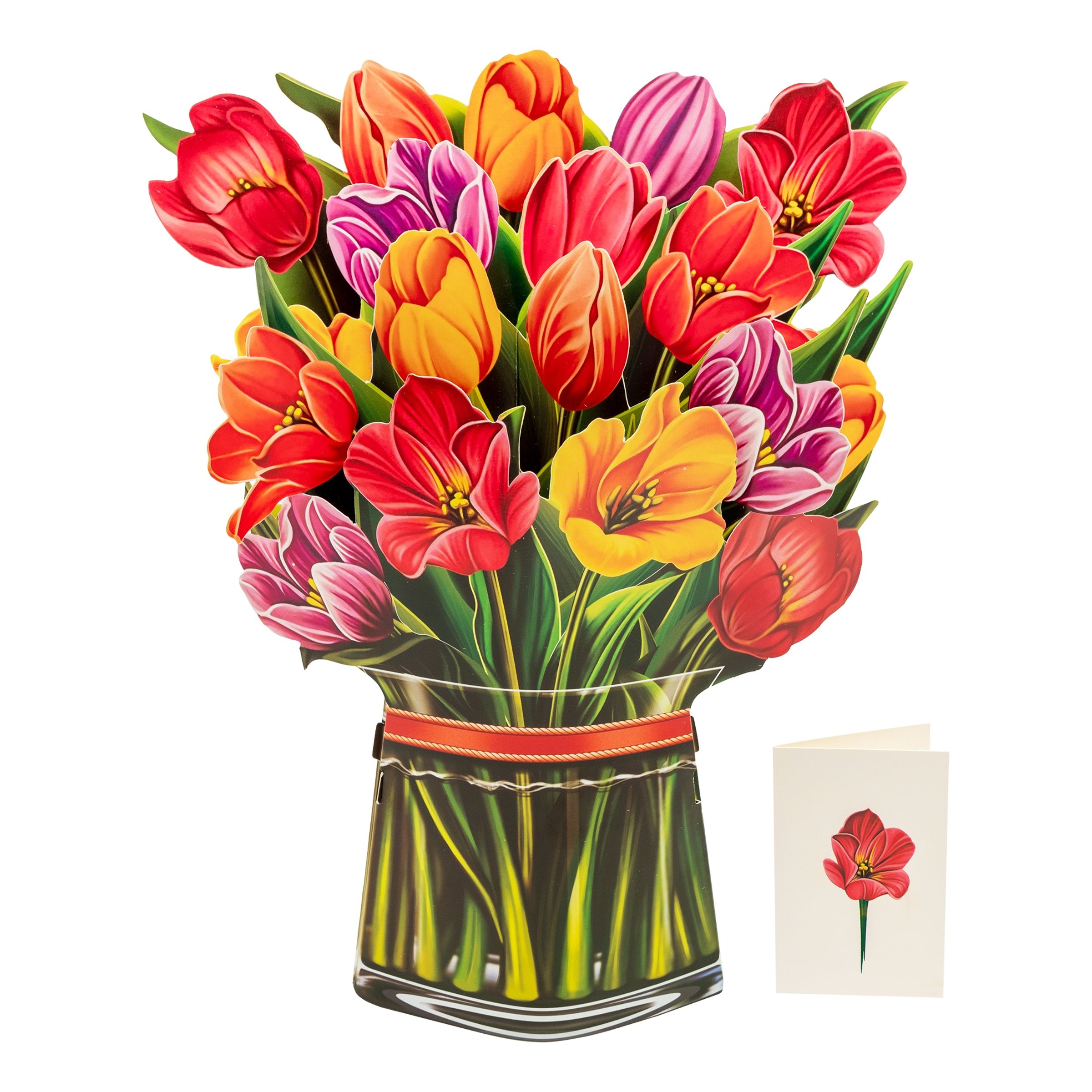 Pop Up-kort Blommor - Tulpan