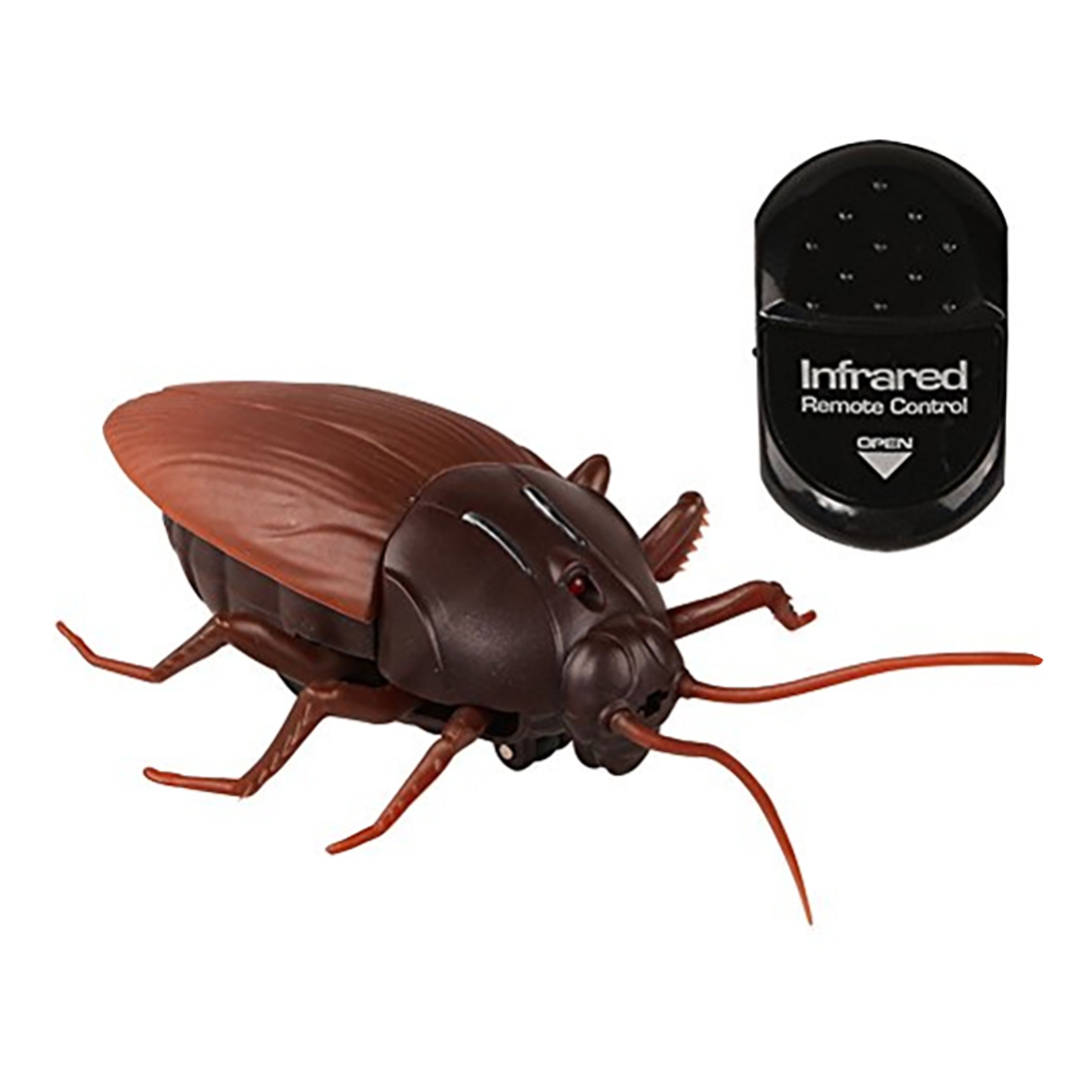 Radiostyrd Kackerlacka