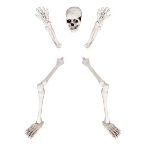 Skelett för Trädgård Prop