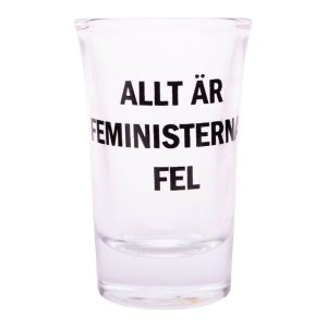 Snapsglas med Text - Allt är feministernas fel