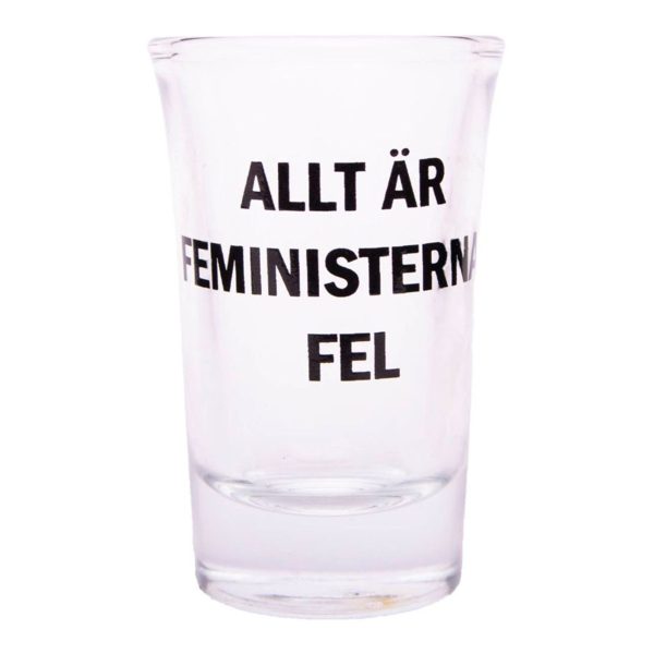 Snapsglas med Text - Allt är feministernas fel