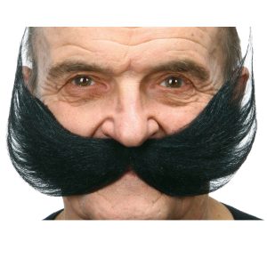Svart Jättemustasch
