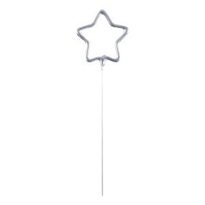 Tomtebloss Stjärna Silver